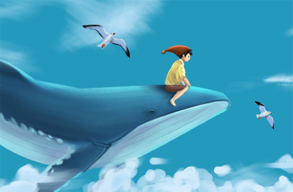 鲸鱼少年与海鸥