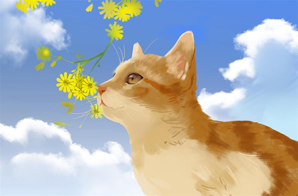 猫咪与花朵